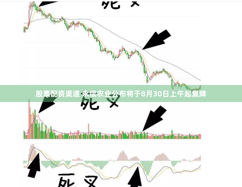 股票配资渠道 永续农业公布将于8月30日上午起复牌